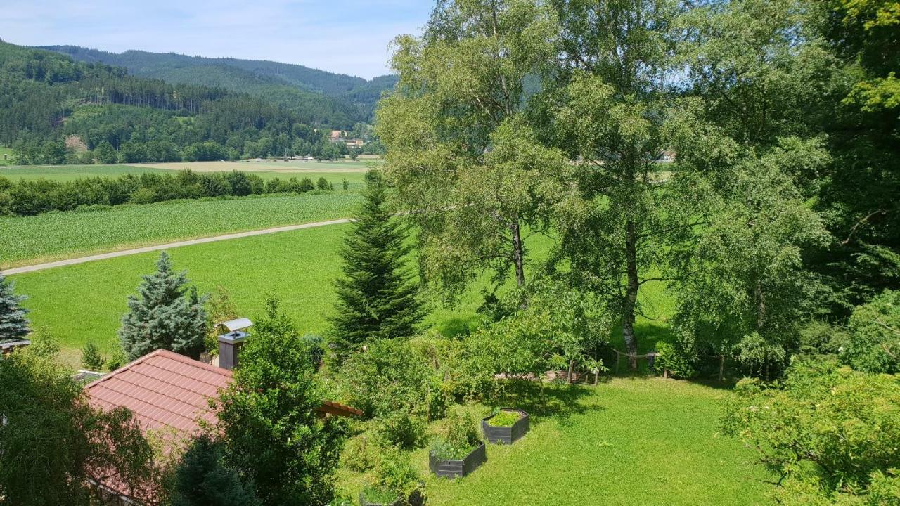 Silberkoenig Schwarzwald Hotel & Restaurant Ringhotel Gutach im Breisgau Exterior foto